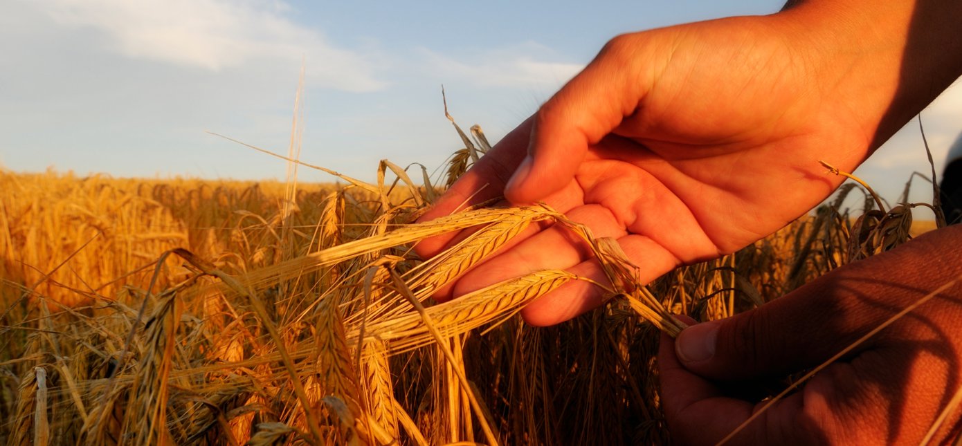 ZERO Farming Footprint